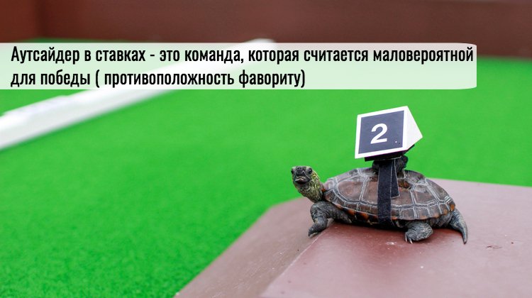 Стратегия ставок на аутсайдера в футболе