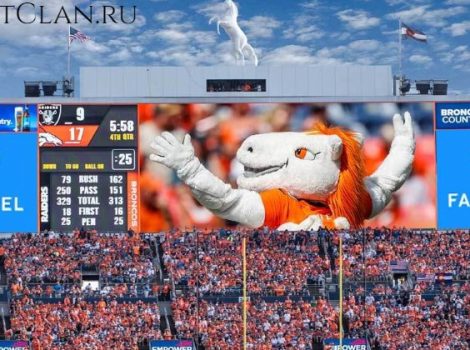 Fan Duel Denver Bronocos