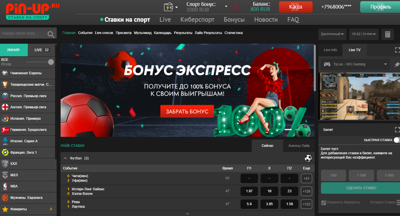 новый букмекер pin up ru