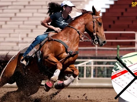 тотализатор ипподром