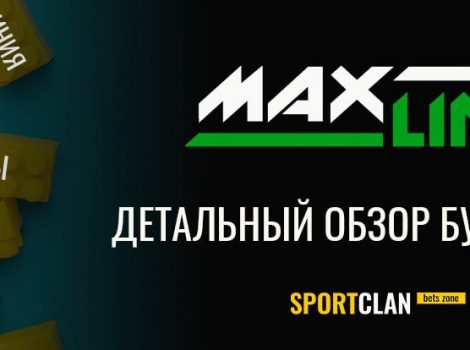 Maxline обзор и отзывы Макслайн