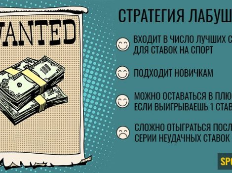 что такое система лабушера