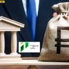 Выручка Первой СРО выросла на 210% в 2024 году