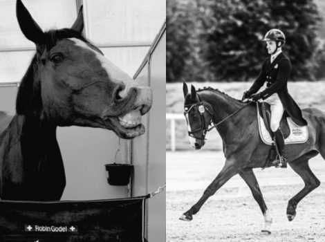 лошадь Робина Годеля усыпили Олимпиада-2020