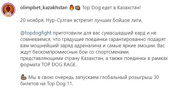 Top Dog 11