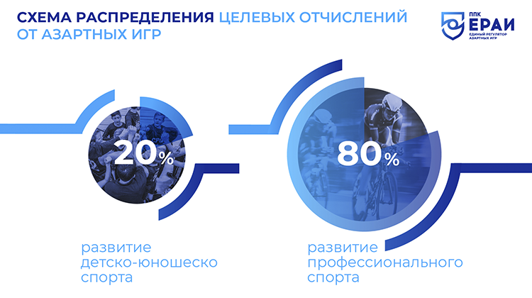 ЕРАИ распределение отчислений