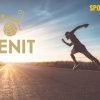 Чистая прибыль БК «Зенит» сократилась почти на 70% в 2024 году