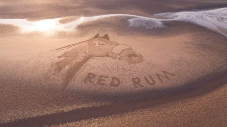 По заказу Coral в Саутпорте появился портрет легендарной лошади Red Rum