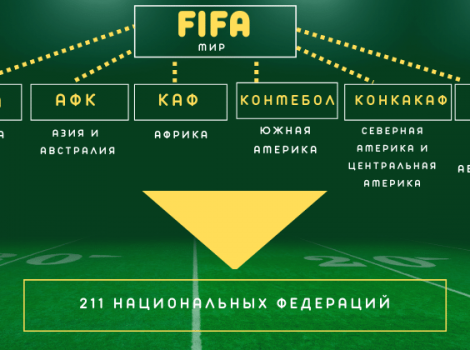 ФИФА cтруктура схема
