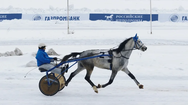 28 января Раменский ипподром примет «Зимнее Дерби»