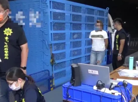 голубиные гонки Тайвань