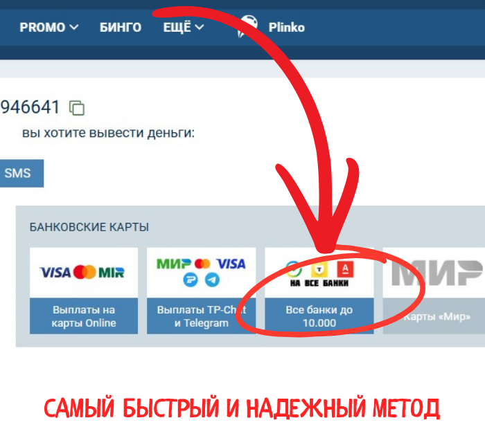 vyvod_1 скриншот вывод денег на карту РФ