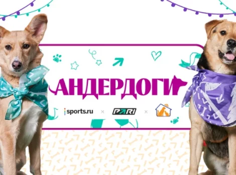 Андердоги - PARI