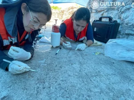 раскопки Мексика