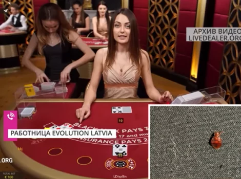 клопы в Evolution