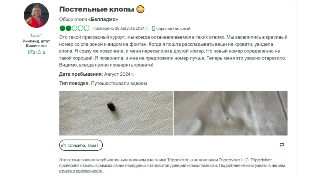 Review post about a hotel bed bug issue with two photos: a bed bug on fabric and a wrinkled white sheet.