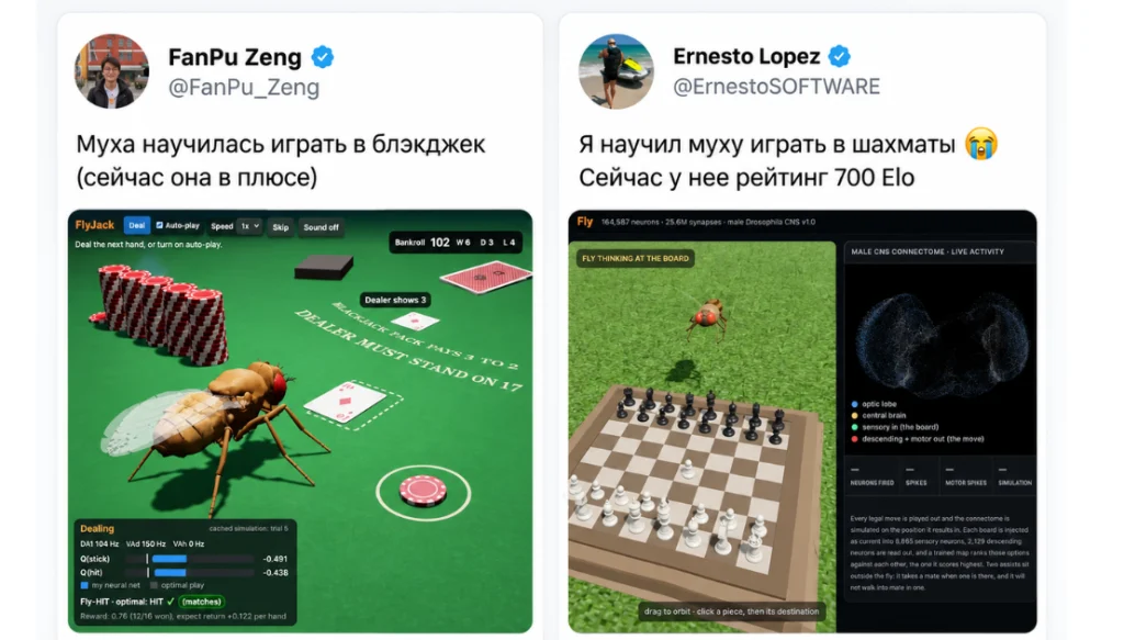 Перевод публикации в Instagram об эксперименте, где цифровая модель мозга мухи играет в блэкджек